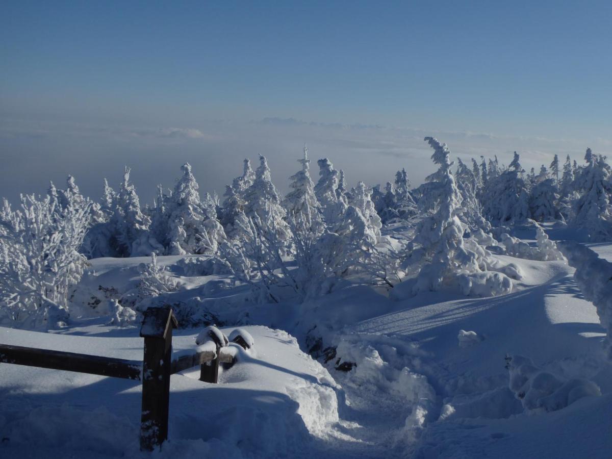 Pokoje Goscinne - Za Borem Zubrzyca Gorna Dış mekan fotoğraf