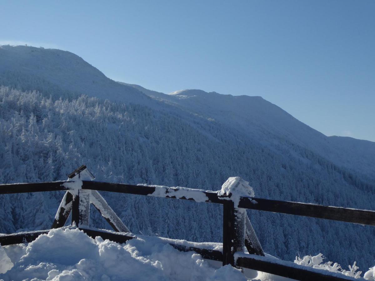 Pokoje Goscinne - Za Borem Zubrzyca Gorna Dış mekan fotoğraf