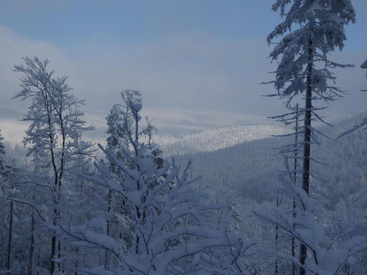 Pokoje Goscinne - Za Borem Zubrzyca Gorna Dış mekan fotoğraf