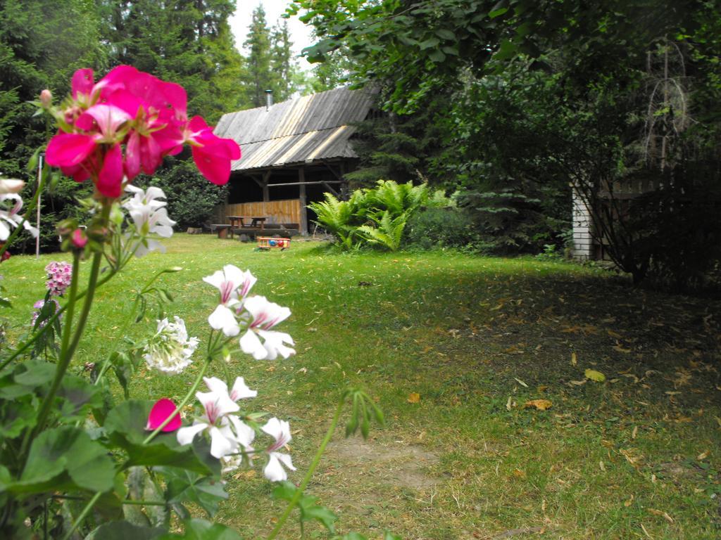 Pokoje Goscinne - Za Borem Zubrzyca Gorna Dış mekan fotoğraf