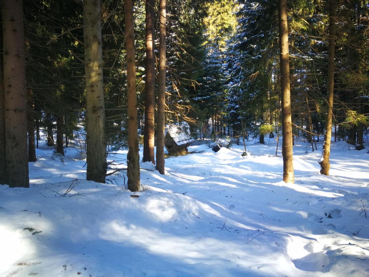 Pokoje Goscinne - Za Borem Zubrzyca Gorna Dış mekan fotoğraf