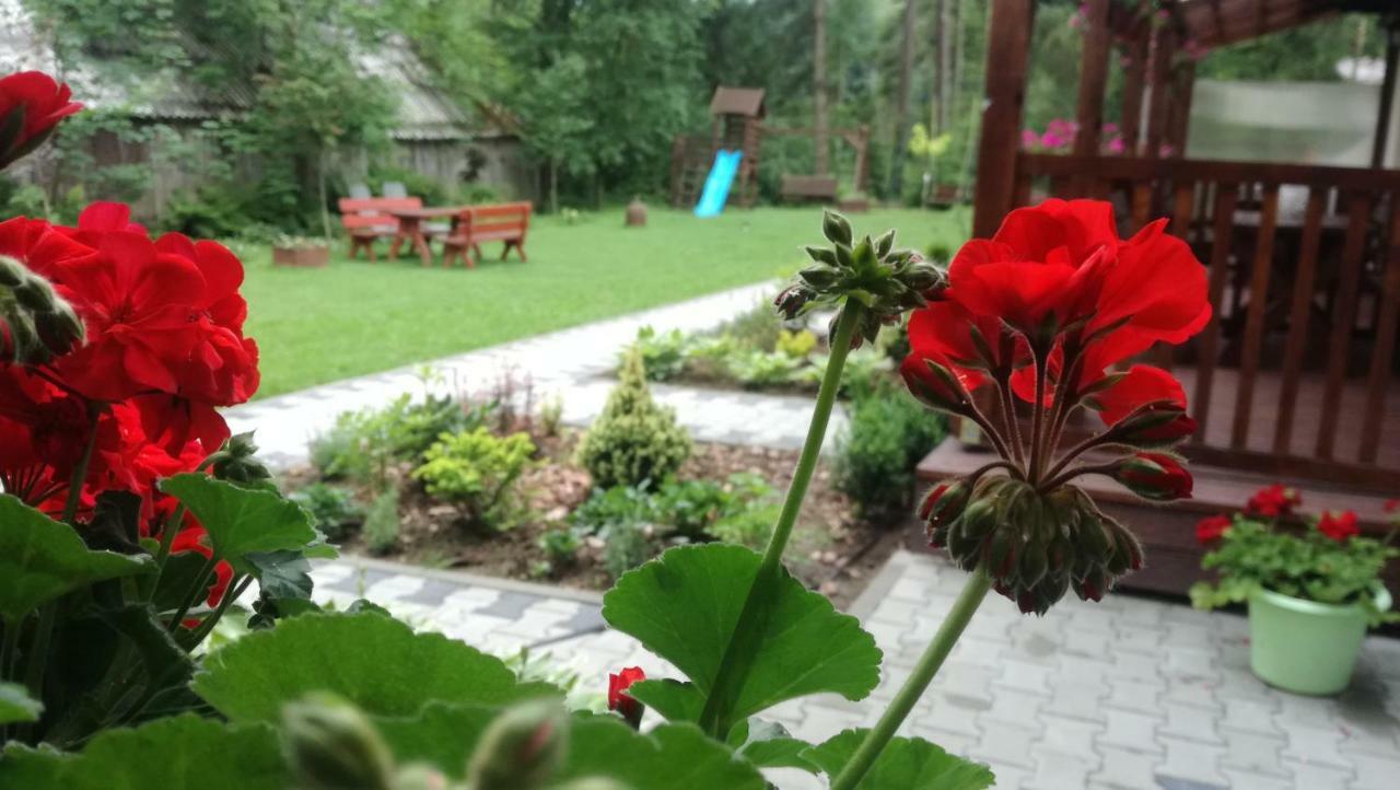 Pokoje Goscinne - Za Borem Zubrzyca Gorna Dış mekan fotoğraf